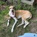 Marty Richardson - Facebook