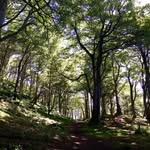 Marty Ross - @martyross33 - Instagram