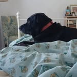 Marty Kelley Saunders - @martha.k.saunders - Instagram
