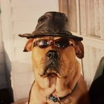 Martini Smirnoff - @marty_seamonkey_man - Instagram
