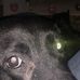 Martin Sheldon - Facebook