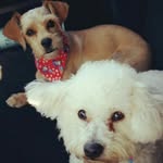 Marty and Sheldon - @martyandsheldon - Instagram