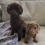 Marty and Sheldon - @martyandsheldon_ - Instagram