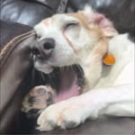 Marty Sheldon DeLoreto - @mldel6 - Instagram