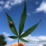 @martysheldon420 - Instagram