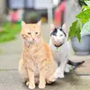 sheldon y marty - @sheldon.y.marty - TikTok