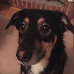 Marty - @martyshortformartha - Instagram