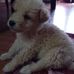 Marty Silva - Facebook