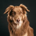 Marty Party - @smileymarty - Instagram
