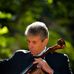 Marty Steinberg Cello - Facebook