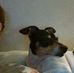 Marty Stover - Facebook