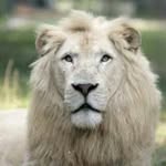 Marty Styles - @styles_1959 - Instagram