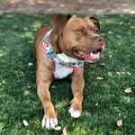 Marty Zahn-Taub - @martysbestdayever - Instagram