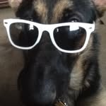 Marty - @marty.thorne - Instagram