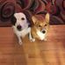 Marty Thurman - Facebook