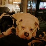 Marty Torres - Facebook