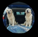 Martin Trout - Facebook