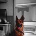 Marty Turner - Facebook