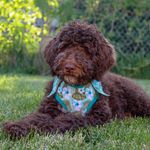 Marty Vance - @martypartydoodle - Instagram