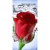 Marty Vargas - Facebook