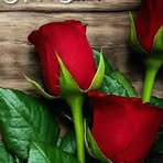 Marty Vasquez - Facebook
