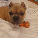 Marty Wade - @martywade41 - Instagram