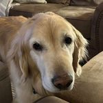 Marty Walsh - @marty.walsh.562 - Instagram