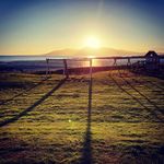 Marty Walsh - @martywalsh777 - Instagram