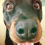 Marty Walters - @waltersmarty - Instagram