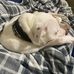 Marty Wayne - Facebook