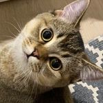 Marty - @weird_marty - Instagram