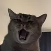 user65717419173 - @weird_marty - TikTok