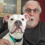 Marty Wells - @martyazwells - Instagram