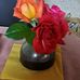 Werner Marty - Facebook