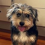 Martin (Marty) West - @_martywest - Instagram