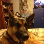 Marty West - @west_marty - Instagram