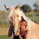 Marty Wheeler Davison - @marty.horses - Instagram