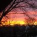 Marty Whitney - Facebook