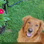 Marty Wilcox - @mmayhem1999 - Instagram