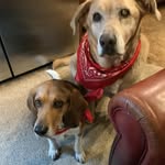 Marty Wilder - @marty.wilder.585 - Instagram