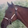 Martha WingMarty - @martha.wingmarty - TikTok