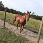 Marty Wray - @wraymarty - Instagram