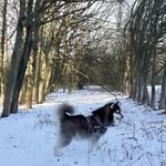 Martyn Brewer - @brewer.martyn - Instagram