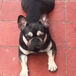 Martyn Davies - @martyn.davies.16547 - Instagram