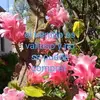 Maru Chavez - @maru.chavez87 - TikTok