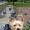 Maruja Mallo - @maruja.mallo5 - TikTok