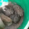 marujagamallo - @marujagamallo - TikTok