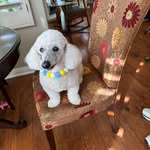 Marva Jo Moncrief Baker - @marvajobaker - Instagram