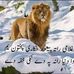 Faqeer Marvat - Facebook