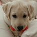 Marva Kelley - Facebook